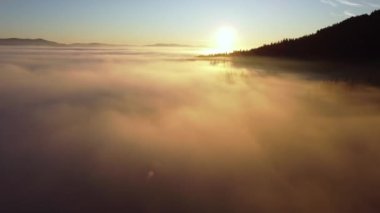 Dağlardaki ormanın üzerinden sis atıyordu. Güneş ışınları yollarına devam eder