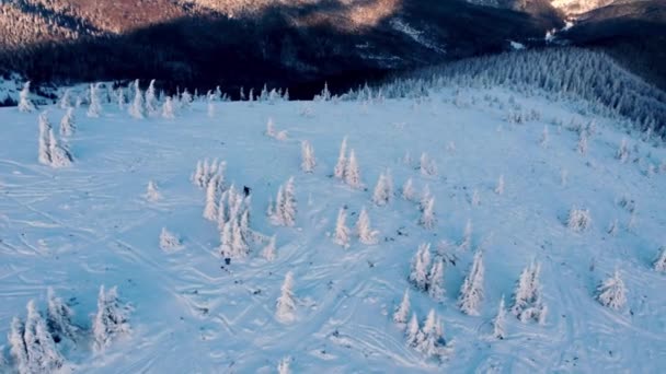 Aerial view. Freerider skiers on top of the mountain. Fresh powder. Extreme freeride skiers skiing from the top. — Stock Video