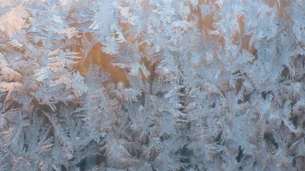 Fleurs de glace givrées sur une fenêtre, cristal de glace en macro — Video