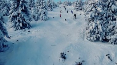 Hava görüntüsü. Freerider kayakçıları dağın tepesinde. Taze toz. Aşırı serbest kayakçılar tepeden kayak yapıyor..