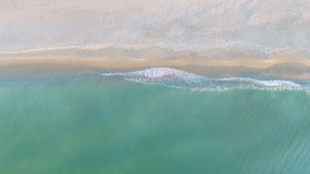 Aerial top view made by drone of a calm sea shore — Wideo stockowe