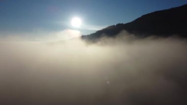 Bulutlarla kaplı ormanın üzerinde yükselen güneşin çarpıcı manzarası.