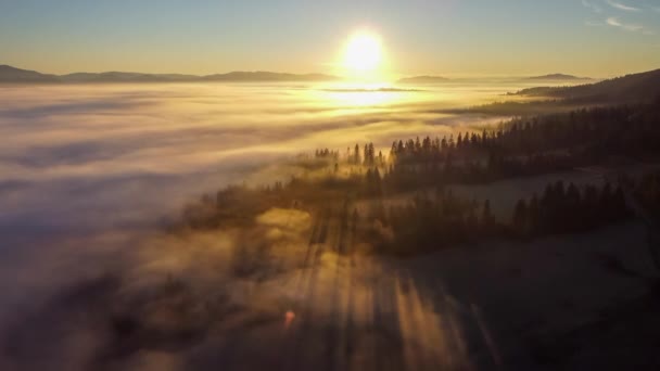 구름으로 덮인 숲 위로 떠오르는 태양의 하늘을 바라보는 멋진 풍경 — 비디오