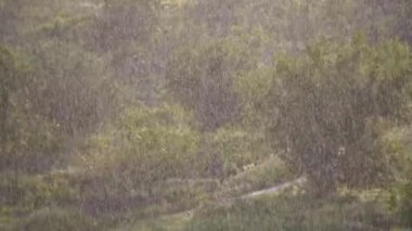 Yavaş çekimde kameranın yol açtığı dikey yağmur damlalarının bulanık arkaplanı.