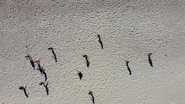 Aerial view of people on the beach — Stock Video