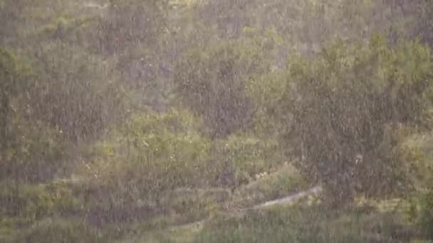 Yavaş çekimde kameranın yol açtığı dikey yağmur damlalarının bulanık arkaplanı. — Stok video