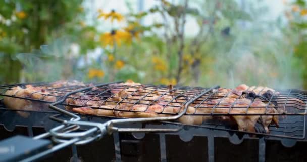 Csirkeszárnyak és lábak a füsttel borított grillnél — Stock videók