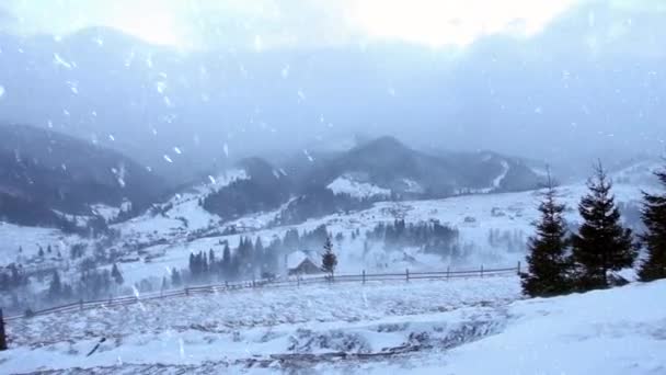 Zimowy krajobraz z obfitymi opadami śniegu i mgłą w lesie sosnowym, tło świąteczne. zima, tradycja i koncepcja świętowania — Wideo stockowe