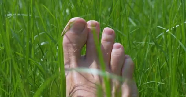 Zbliżenie ludzkich stóp w zielonej trawie. Tło letnie, UHD, 4K — Wideo stockowe
