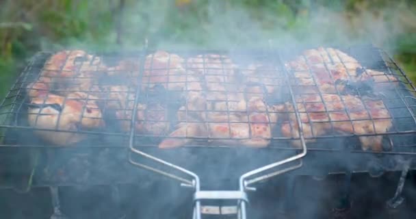Alitas de pollo y patas cocinando en la parrilla cubierta de humo. — Vídeo de stock
