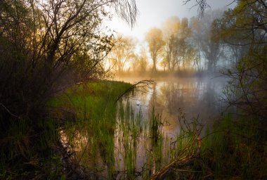 Sisli sabahı sakin bir göl