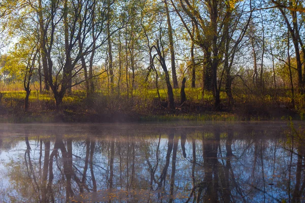 Serene Dimmig morgon vid en sjö — Stockfoto