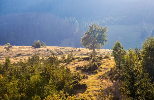 Montagne maestose paesaggio con foglie verdi fresche — Foto Stock