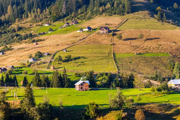 Dağ ve tepe yaz aylarında güzel doğası — Stok fotoğraf