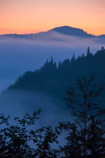 Niebla y nube montaña valle paisaje, — Foto de Stock