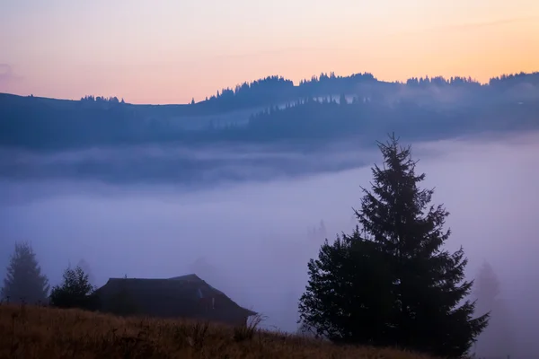 Mist en wolk bergdal landschap, — Stockfoto