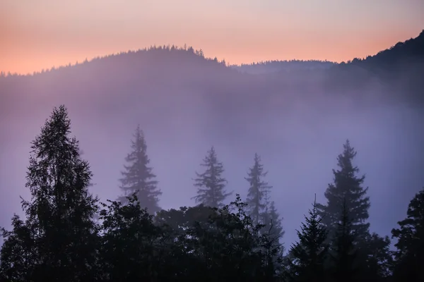 Mist en wolk bergdal landschap, — Stockfoto