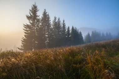Dev dağlarla manzara ile taze yeşil yaprak