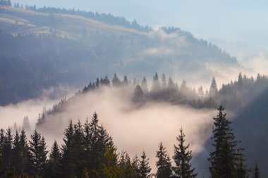 Dağların manzarasında muhteşem bir günbatımı. Karpatlar, Ukrayna