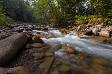 Yazın güzel dağ nehri manzarası