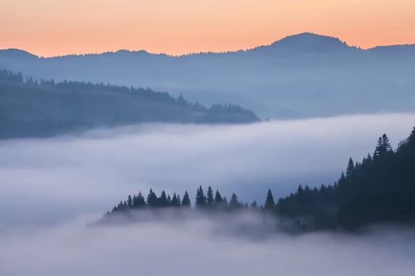 Majestic sunset in the mountains landscape. Carpathian, Ukraine — Stock Photo, Image