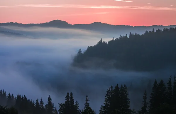 Dağların manzarasında muhteşem bir günbatımı. Karpatlar, Ukrayna