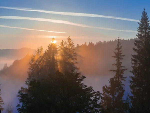 Majestueuze zonsondergang in het berglandschap. Karpaten, Oekraïne — Stockfoto