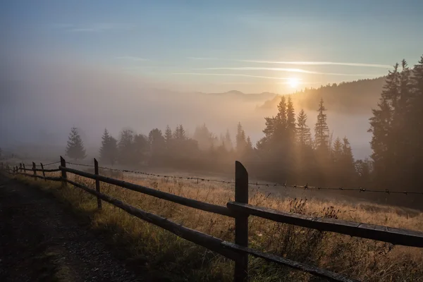 Majestoso pôr-do-sol na paisagem das montanhas. Cárpatos, Ucrânia — Fotografia de Stock