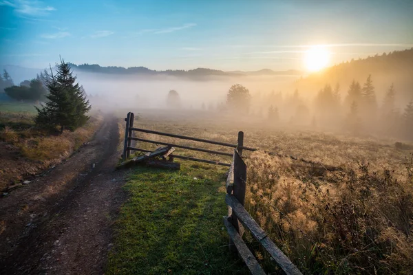 Majestätischer Sonnenuntergang in der Berglandschaft. Karpaten, Ukraine — Stockfoto