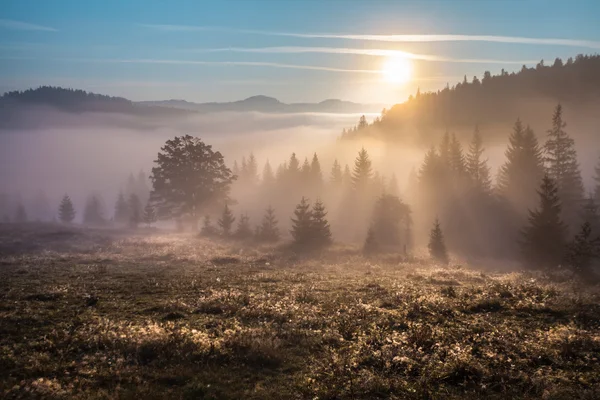 Majestätischer Sonnenuntergang in der Berglandschaft. Karpaten, Ukraine — Stockfoto