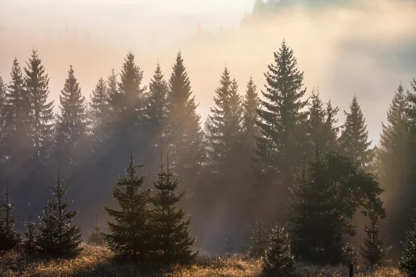 Montagne maestose paesaggio con foglie verdi fresche — Foto Stock