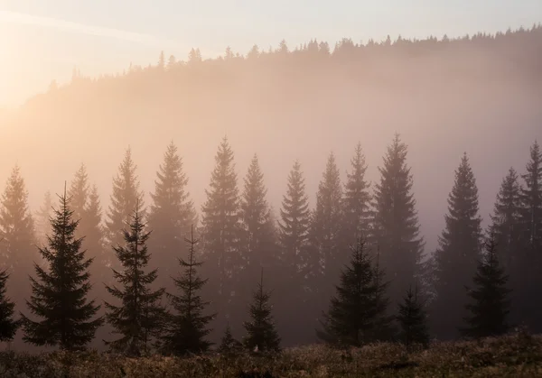 Majestueuze bergen landschap met verse groene bladeren — Stockfoto