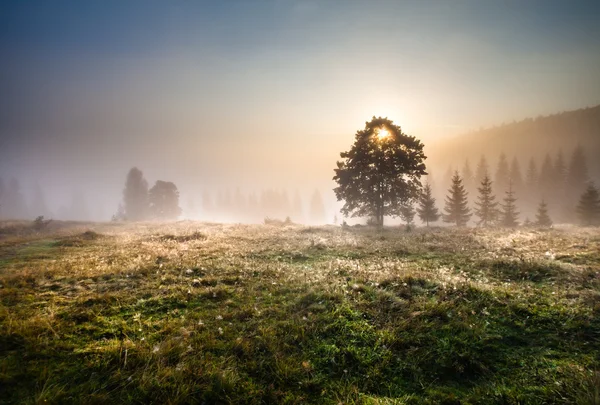 Majestätische Berglandschaft mit frischen grünen Blättern — Stockfoto