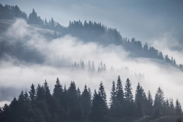 Dağların manzarasında muhteşem bir günbatımı. Karpatlar, Ukrayna