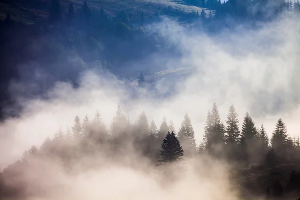 Coucher de soleil majestueux dans le paysage des montagnes. Carpates, Ukraine — Photo