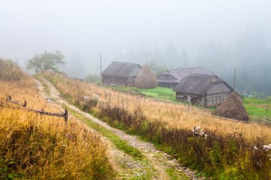 güzel bir ahşap ev yeşil bir tepede