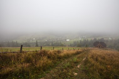 güzel bir ahşap ev yeşil bir tepede