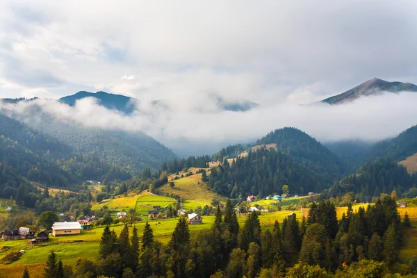 Gyönyörű fából készült ház egy zöld dombon — Stock Fotó