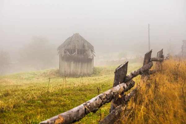 Mlhavý bukový les na horském svahu v přírodní rezervaci — Stock fotografie