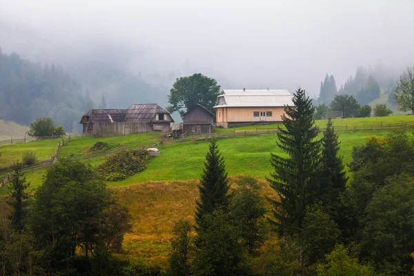 Krásný dřevěný dům na zeleném kopci — Stock fotografie