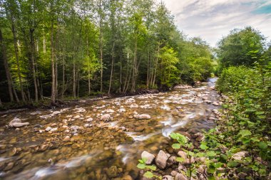 Karpat Dağları güzel manzara