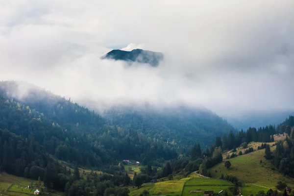 Karpat Dağları güzel manzara — Stok fotoğraf