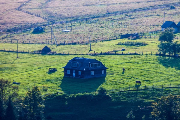 Prachtige bergen landschap in de Karpaten — Stockfoto