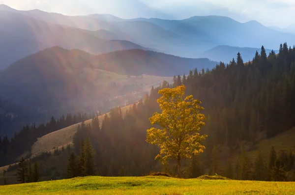 Die Bergherbstlandschaft — Stockfoto