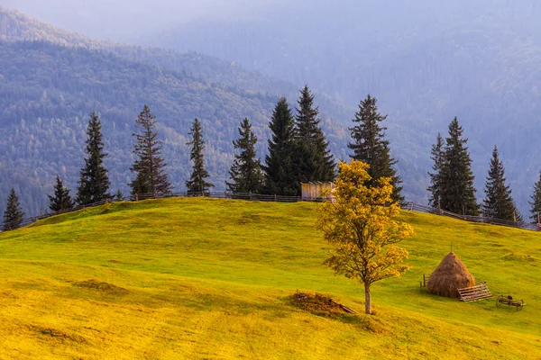 Dağın sonbahar manzara — Stok fotoğraf