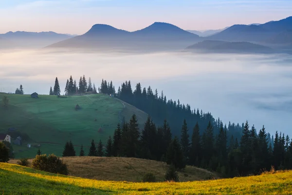 Fog and cloud mountain valley landscape — Stock Photo, Image