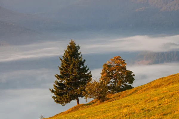 Ceață și nor peisaj valea muntelui — Fotografie, imagine de stoc