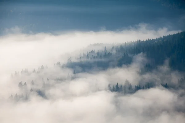 Brouillard sur la montagne — Photo