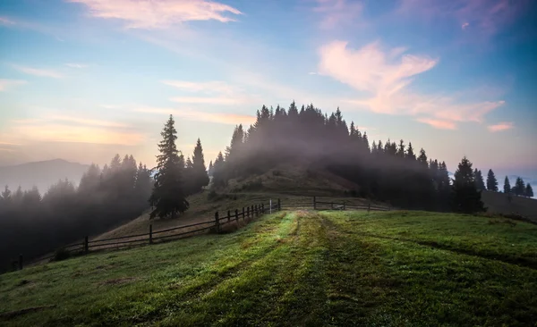 Nebel auf dem Berg — Stockfoto