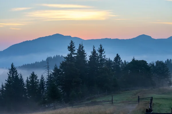 Mist op de berg — Stockfoto